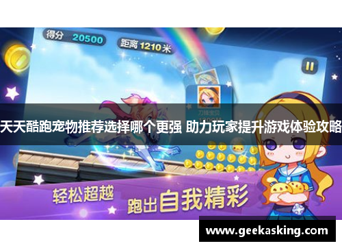 天天酷跑宠物推荐选择哪个更强 助力玩家提升游戏体验攻略