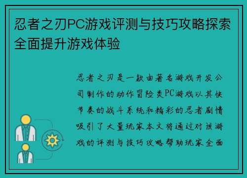 忍者之刃PC游戏评测与技巧攻略探索全面提升游戏体验